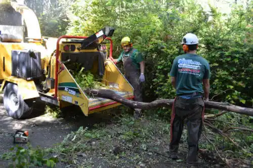 tree services Stockbridge